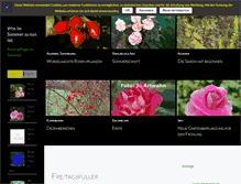 Tablet Screenshot of meinerosen.de